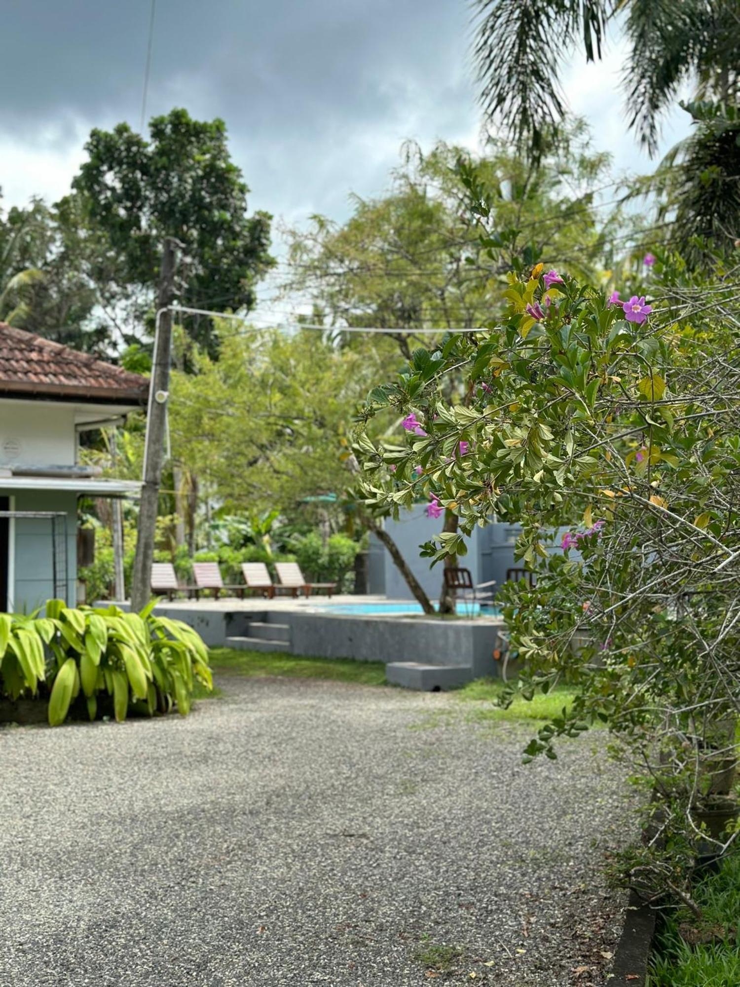 Mango Tree Villa อูนาวาตูนา ภายนอก รูปภาพ